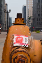 Load image into Gallery viewer, Cranberry Orange Oat 11 pack